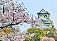 开云体育直播-日本女乒连续2年当背景帝 日媒：伊藤被逆转成噩梦