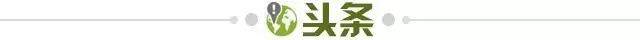 开云体育直播-【早报】且听鸡鸣！本泽马重返法国队！欧洲杯囊中物？